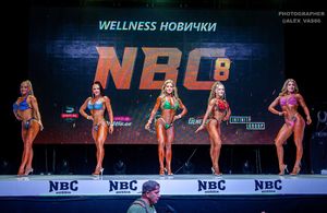 WELLNESS НОВИЧКИ